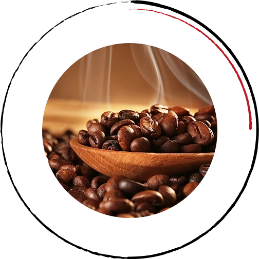 Brand’s Foundation