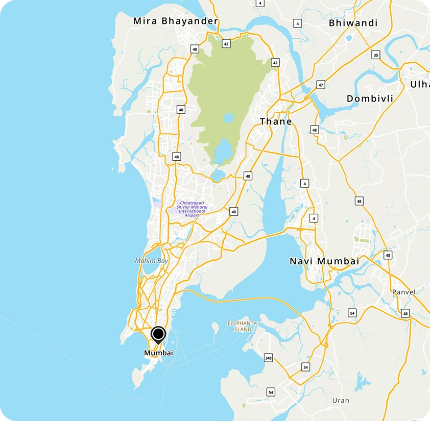 map-icon
